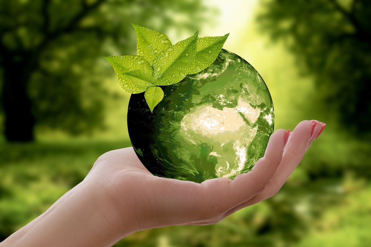 Webinar: Opleiding Aarde en Duurzaamheid