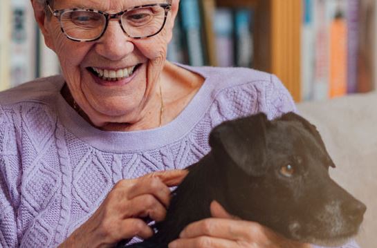 Promotie: Inzet van hond vergroot sociale interactie van mensen met dementie