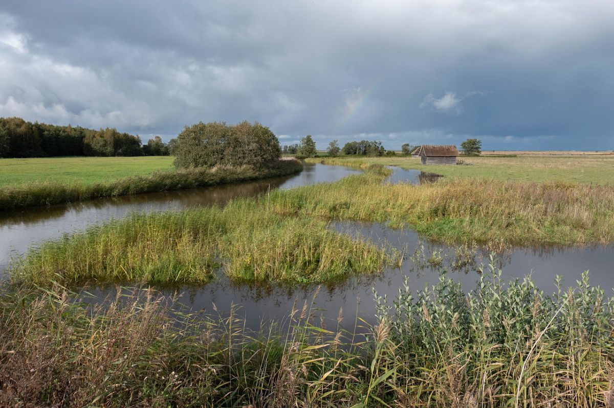 Promotie Jasper Verhoogt over 'wetlands'