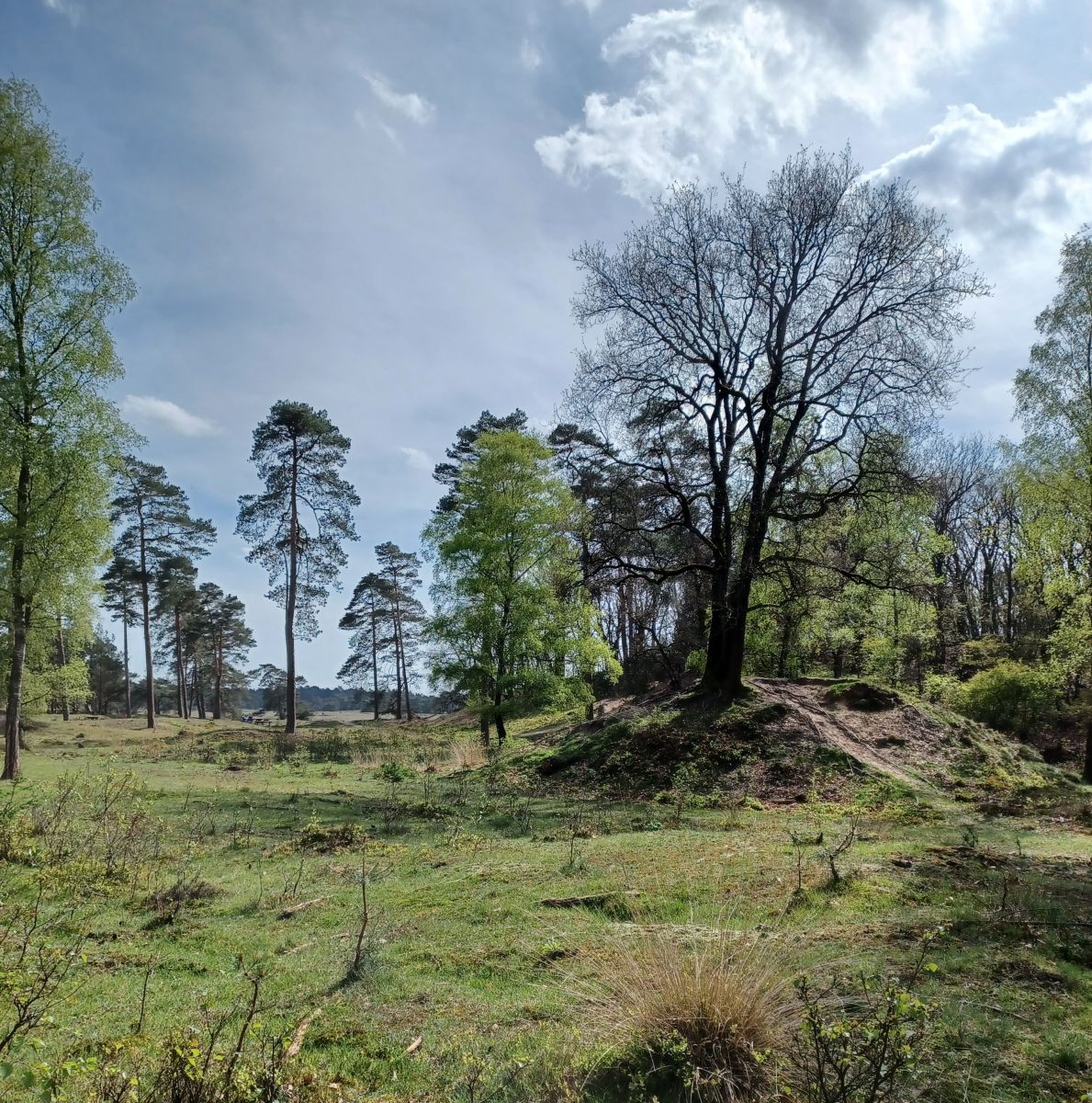 Terugblik op jaarvergadering 2024 op de Hoge Veluwe